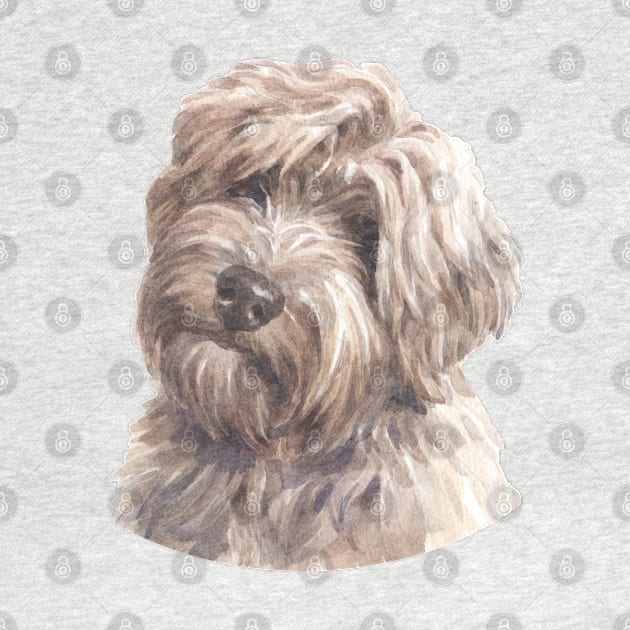 Gold Tibetan Terrier Watercolor Art by doglovershirts